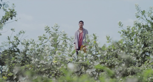 southeastasiancinema:Malila: The Farewell Flower dir. Anucha Boonyawatana, Thailand 2017.
