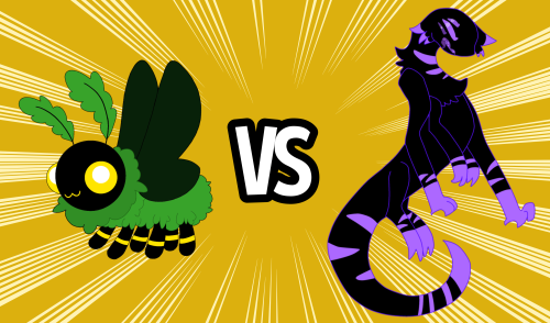 Season 2 Round 1