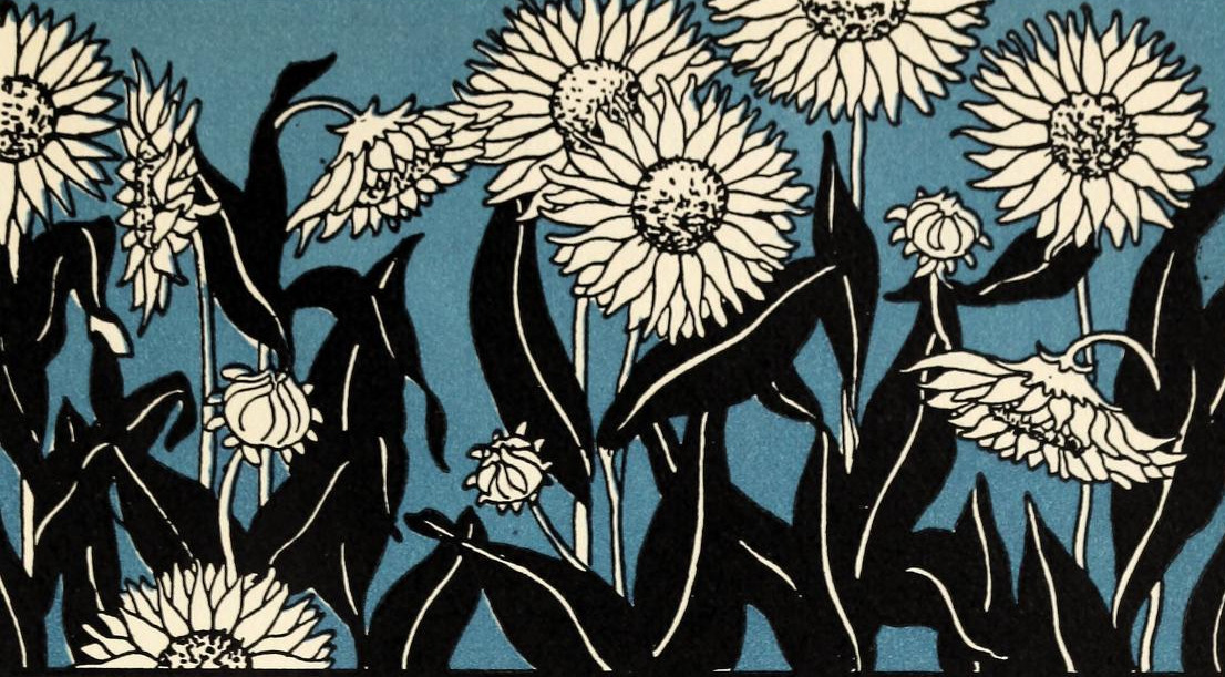 nemfrog:  nemfrog:Sunflowers.  Elementary Science by Grades, Book One. 1930.  Year