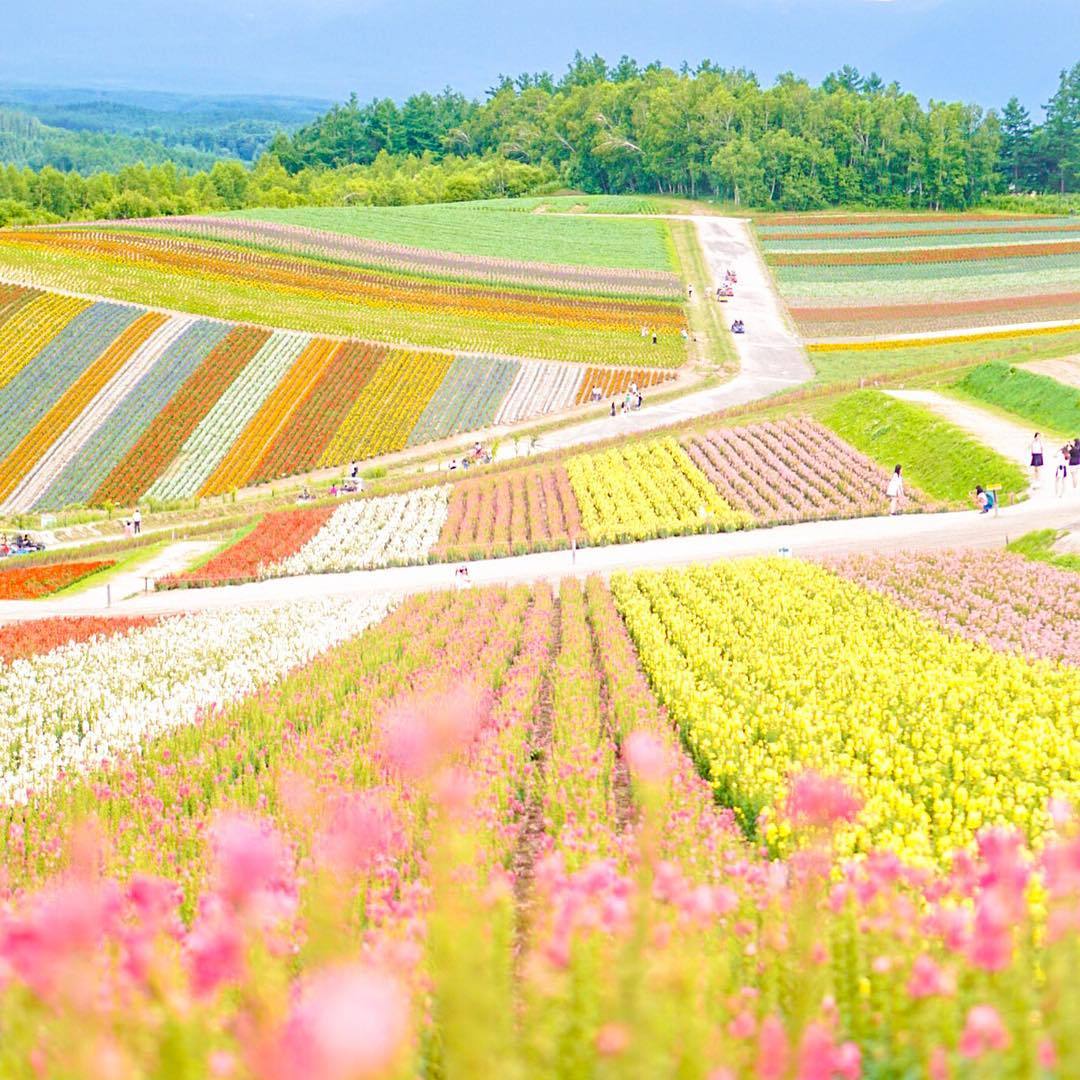 taming-the-tiger: by eri_su_na.  WOW!!!