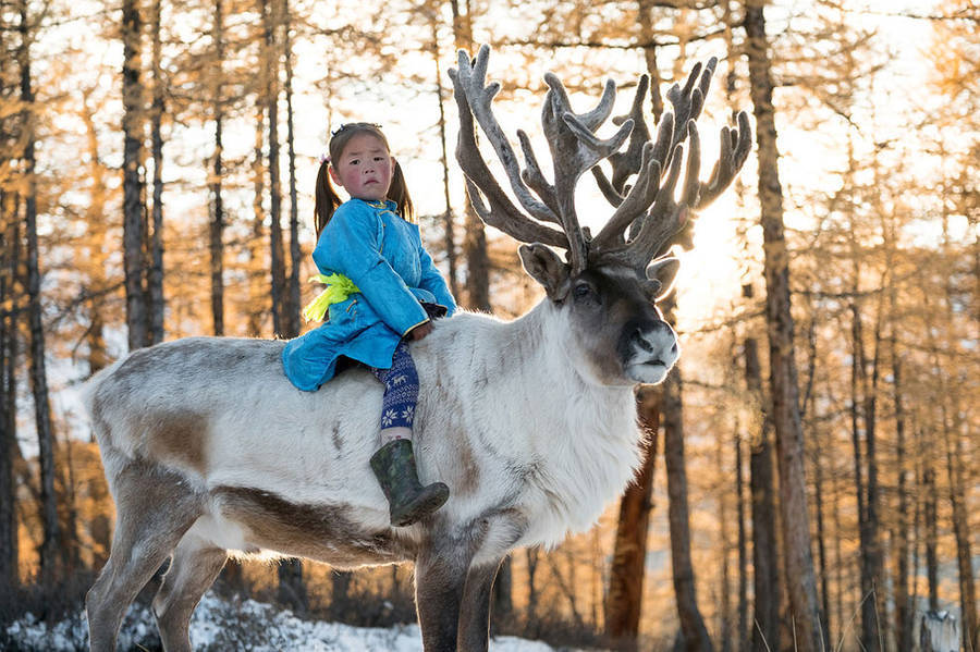 ninewhitebanners: More photos of Mongolia’s reindeer-herding minority ethnic group,