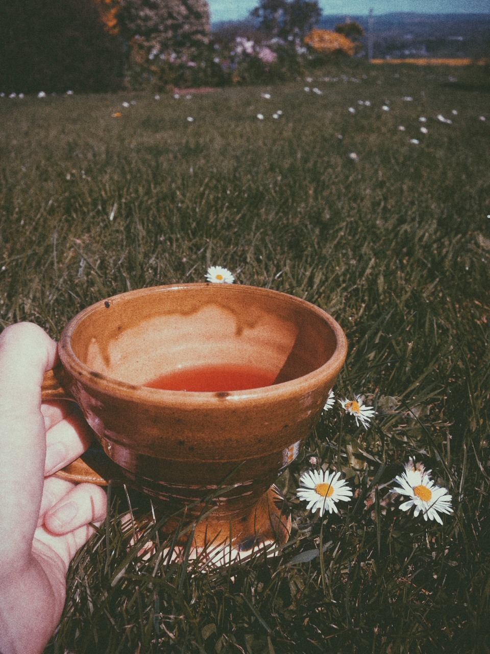 feathery-soul:  peaceful-moon:  magical-moon-vibes:  Fruit tea and daisies ~  ☮