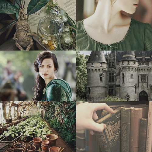 windflowerfairy: “Sweet Hufflepuff from valley broad“ 