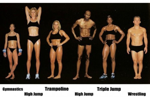emt-monster:  Different body types for different sports.Source: Ebaums World