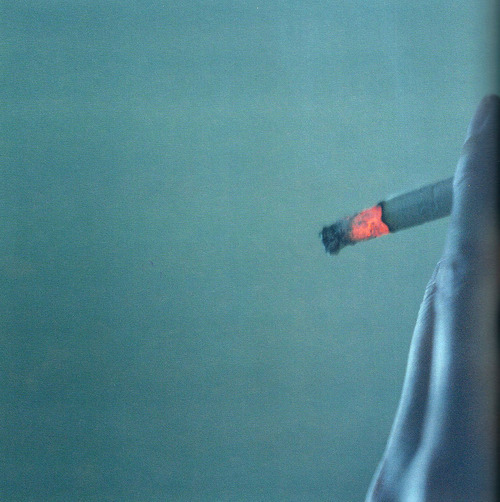 untrustyou:  Rinko Kawauchi 