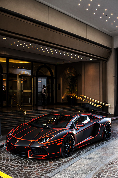 majesticbillionaire:  ♦ FOR MORE, CLICK CHECK OUT                