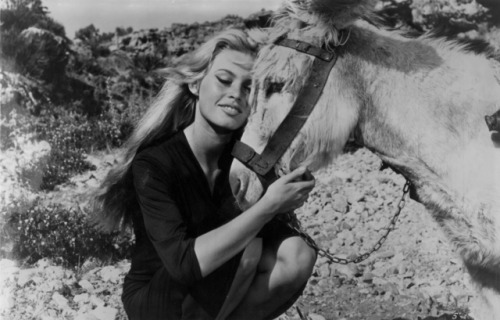 talesfromweirdland:Some photos of Brigitte Bardot in 1958. (On the set of Les bijoutiers du clair de