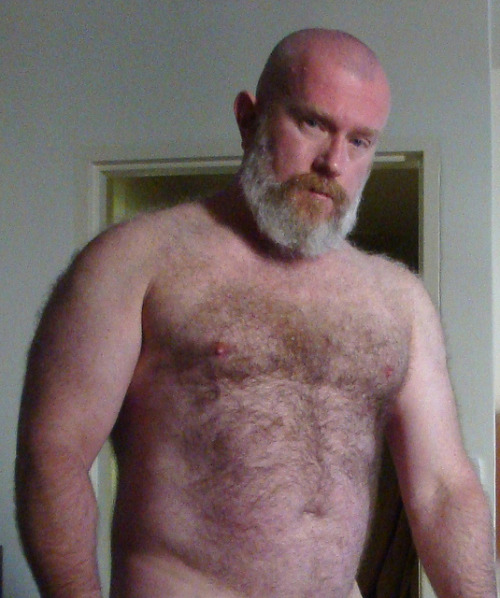 SERVICE BEAR