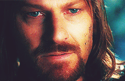 faramircaptainofgondor:“And seated a little apart was a tall man with a fair and noble face, dark-ha
