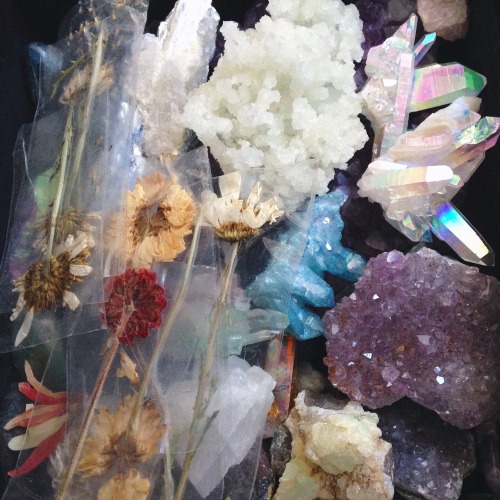 lavenderwaterwitch - packing up my babies ✨Instagram –...