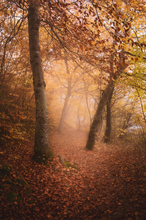 stephiramona:This is for all the autumn lovers