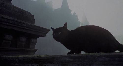 House of October