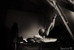 amaury-grisel-shibari: On the bed under the roof with @franckievega Ropes and photography : Amaury Grisel 