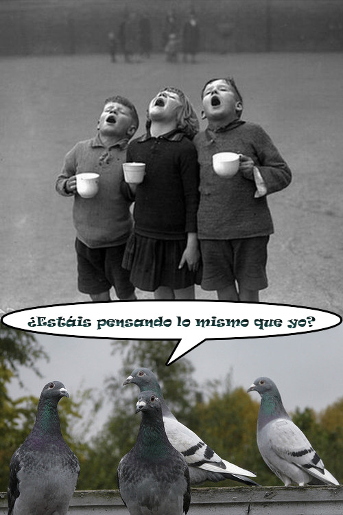 ¿Estáis pensando lo mismo que yo?