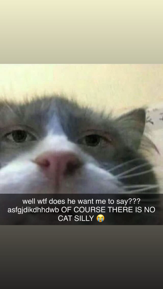 Do You Wanna See My Cat? Pt. 3