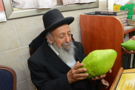 Fuck It, Rabbis Looking At Giant Etrogim Photo Dump