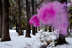   Irby Pace’s Color Explosions    Texas-based artist Irby Pace‘s works can be described as haunting and ethereal. In his series “Idle Voids,” Pace uses various outdoor spaces and adds his own “pop” of color to each environment in the form