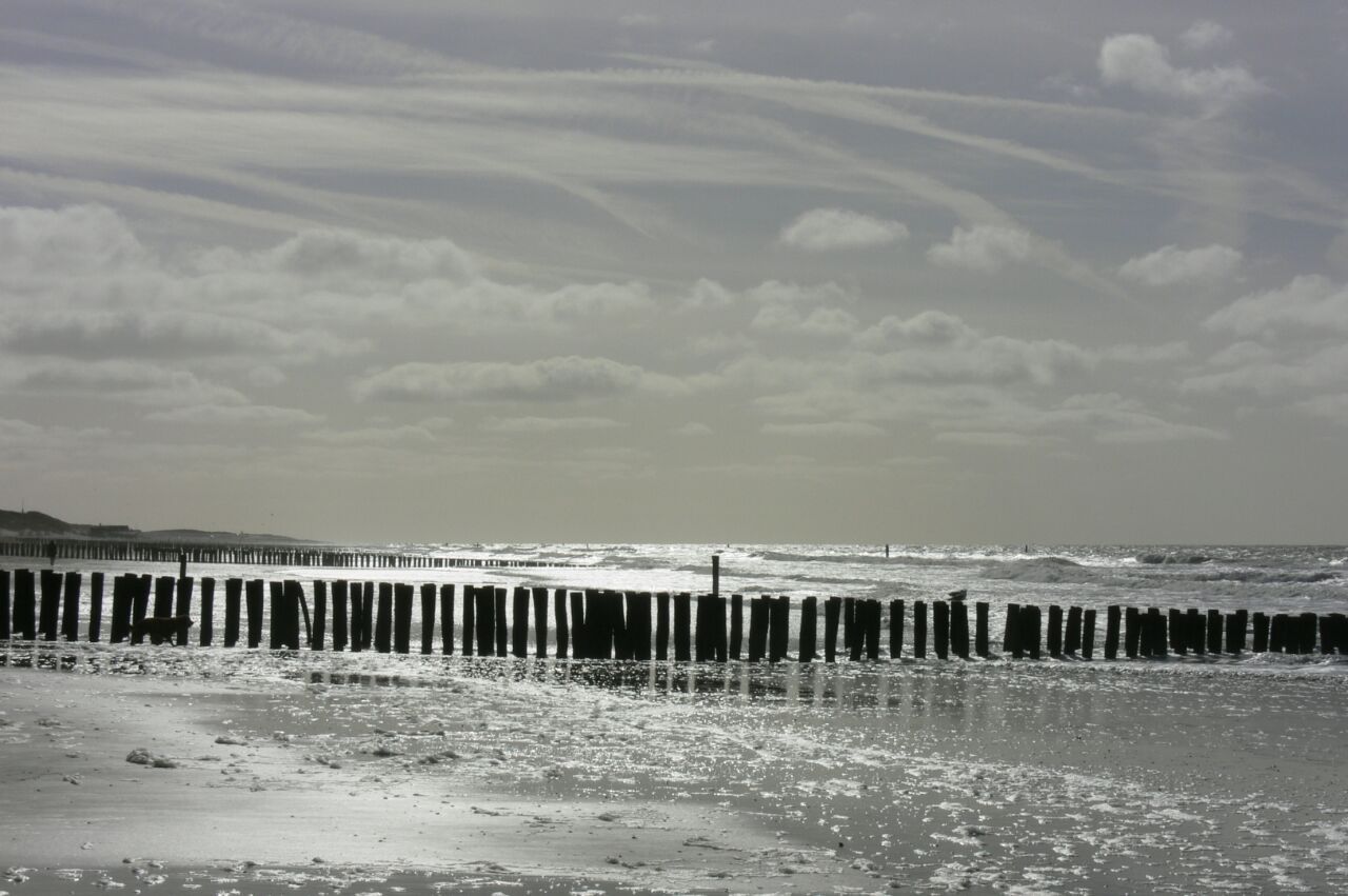 cut3panda:glittering water, fluffy looking sky … makes my mind wander off ♫
