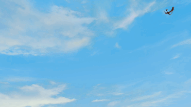 hoopyfez:oh my GOD Toothless’ face thoughhe is so completely 100% done with Hookfang and Snotlout’s 
