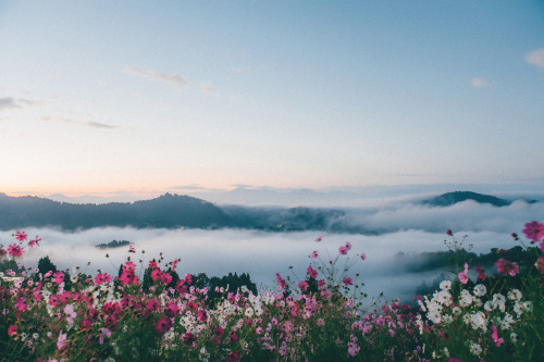 Untitled By Sty 830|| Instagram