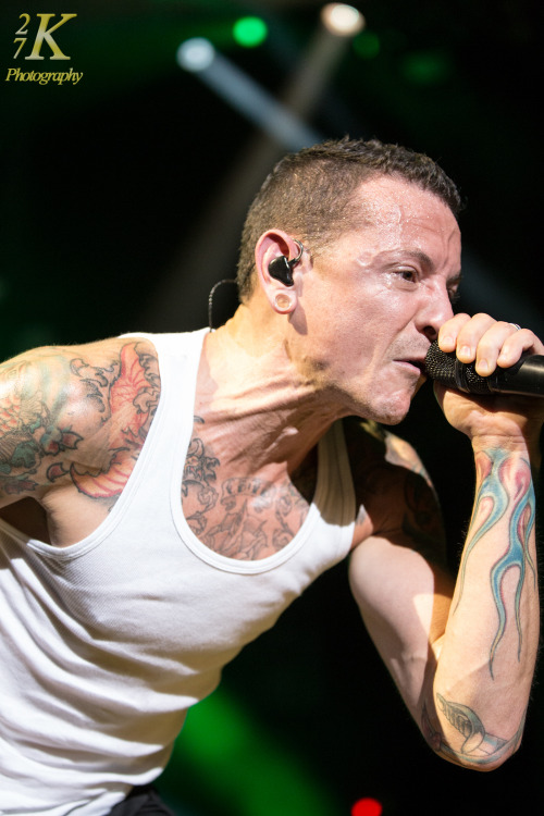 Linkin Park - Carnivores Tour at Darien Lake Performing Arts Center - Buffalo, NY on 8.22.14 Copyrig