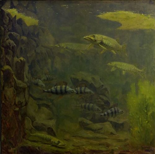 Gerrit Willem Dijsselhof (1866-1924), “Pike and Perch in an Aquaruim”. Oil, 1910-1920, R