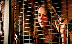 agentgroves:Root↳5.05 ShotSeeker
