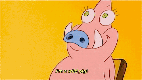 rmlgifs:I’m a wild pig!
