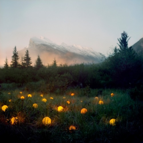 crossconnectmag: Illuminated Landscapes by Barry Underwood Barry Underwood, born 1963 Wilmington, De