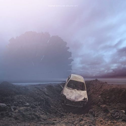 rhubarbes:Michał Klimczak-SHUME art