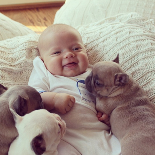 bnenetwork:  Babies and bulldogs. That’s all.  