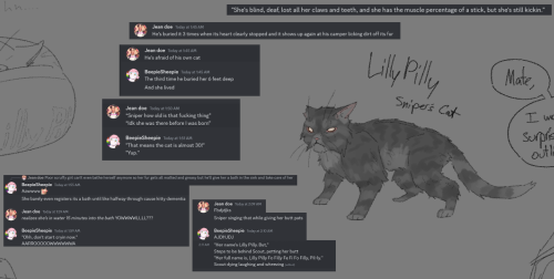 @iaminsideyourwalls And I Were Up At 2 Am And With Our Powers Combined We Made An Oc- Snipers Cat