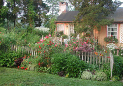 debsandbeaux:  Cottage Garden filled with roses by tesselaarusa on Flickr. 