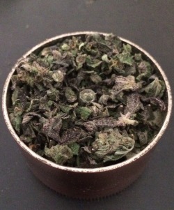 mikey-rockss:  Purple Og Kush