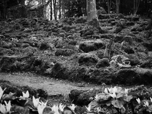 Took the opportunity on the last day of the Spring term holidays to pay a visit to Lowther Castle an