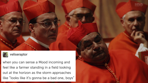 spyderfyngers:The New Pope/text posts5/?