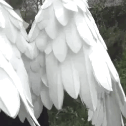 Stimboard For My Favorite Angel