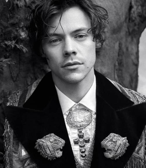 harrystylesdaily:  Harry Styles returns in a new Gucci Tailoring campaign shot by Glen Luchford in the gardens of Villa Lante outside of Rome. 