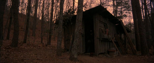 hornyhouseofhorror: Cabin Fever - Eli Roth 2002