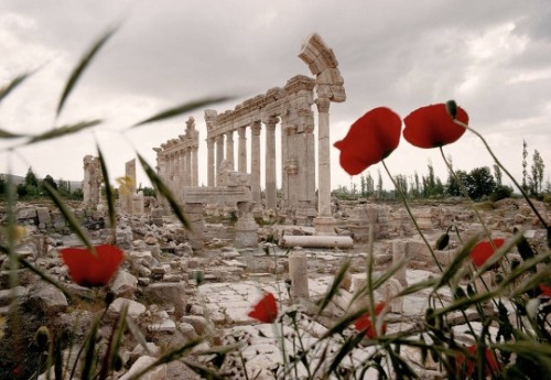 themovingcloud:Ancient Roman ruinsBaalbek, Lebanon