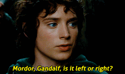 vanhoytls:  lotr meme: ten scenes → [1/10] “the depature of the fellowship”