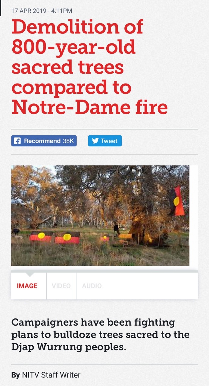 thisiseverydayracism:  https://www.sbs.com.au/nitv/nitv-news/article/2019/04/17/demolition-800-year-old-sacred-trees-compared-notre-dame-fire