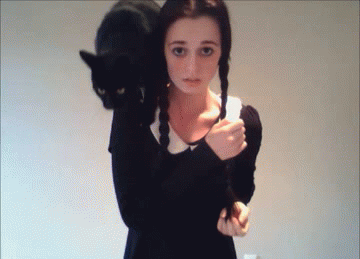 emilyologist:  Luna jumped off my shoulders with enough force to physically push