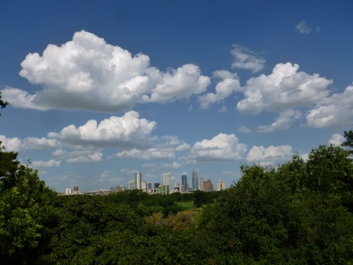 timothymcvainlives:For the Love of Texas….AUSTIN, TX*CLICK FOR MORE TEXAS PHOTOS*