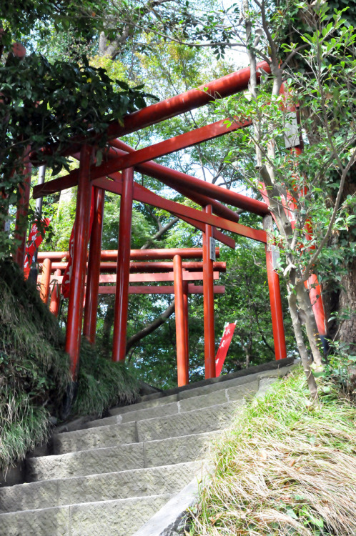 vnformed:  「 green & red of Japan 」 (by showta0401) 