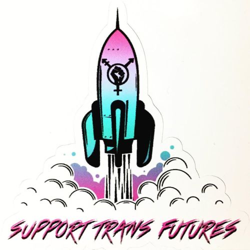 SUPPORT TRANS FUTURES! @gc2b is currently fundraising for @blacktranstravelfund, “a mutual-aid