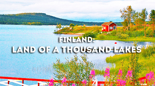 memory-foam:  aurooranova:  frezziedez:  kellygotablog:  thats cute finland  Finland