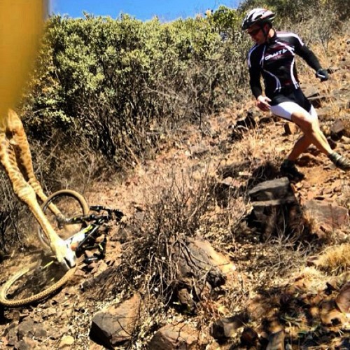 asturiasbike:  digitaldion:  How amazing is this? A guy was chased by a giraffe while riding his #mt
