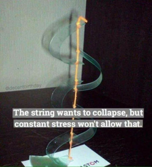 morning-feathers: sari-y-fawr:  Honestly string, fucking same.  How do I relate to a string 