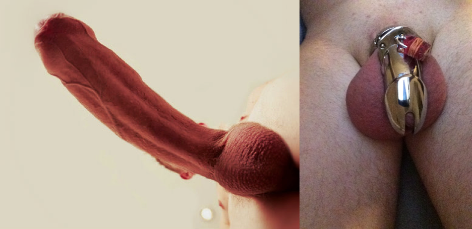 lockednow:  Side by side comparison of alpha cock and me… 